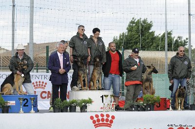 Remise des Prix 121.JPG - CHIENPLUS.COM